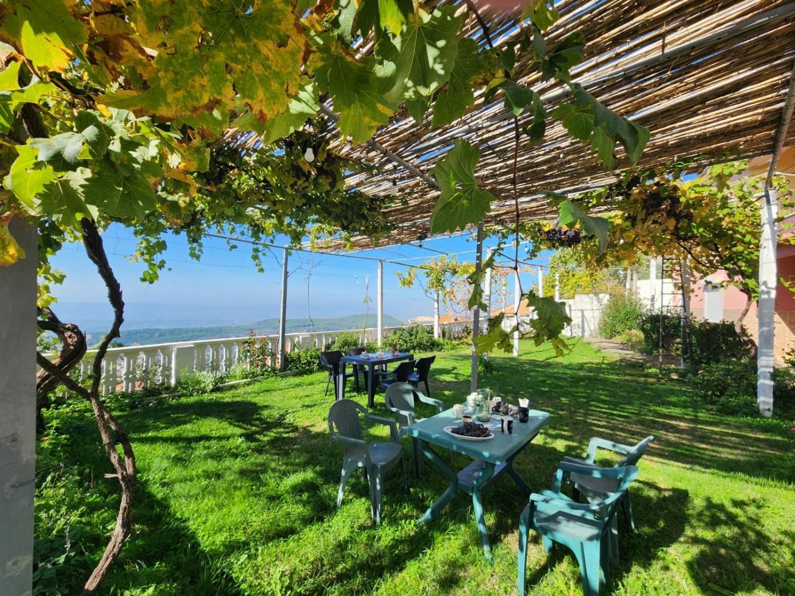 Garden Villa Guni Krujë エクステリア 写真